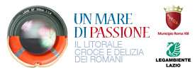 Clicca qui per visitare il sito Un Mare di Passione