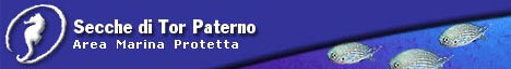 Clicca qui per visitare il sito delle Secche di Tor Patermo