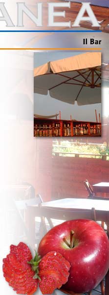 Bar2